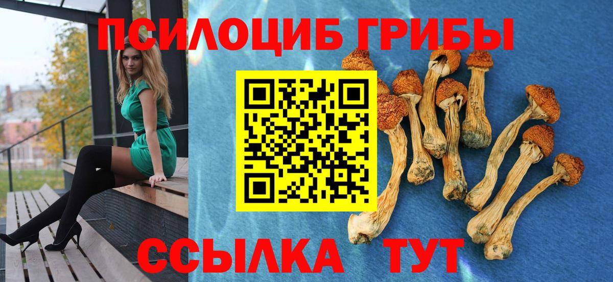 Грязи  Псилоцибиновые грибы мухоморы  Вход с VPN 